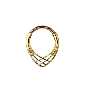 Septum tissé en acier chirurgical
